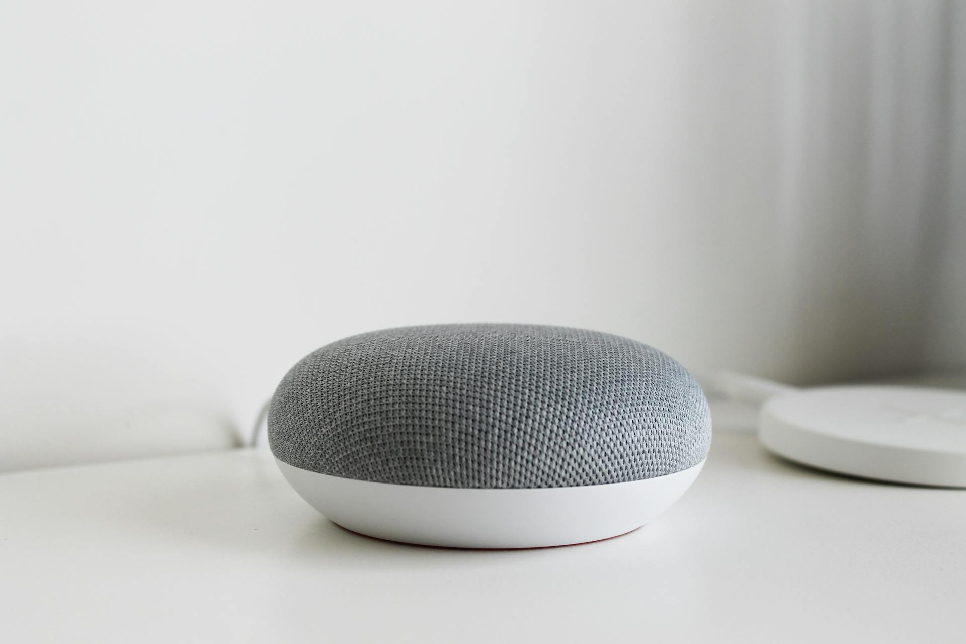 Consumer handheld smart speaker